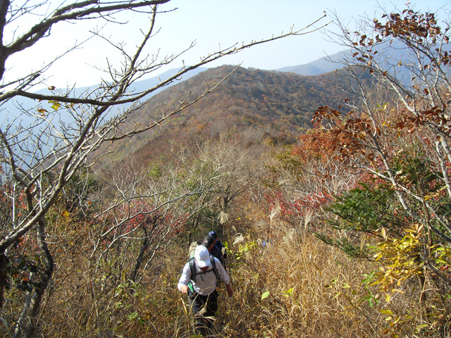 SDC12012.jpg