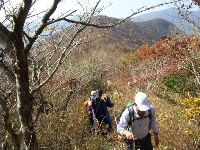 SDC12013.jpg