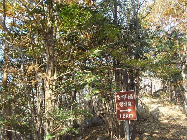 SDC12014.jpg