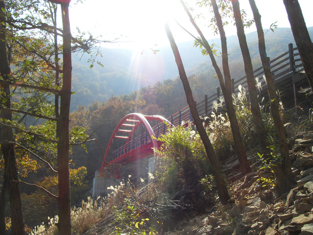 SDC12020.jpg