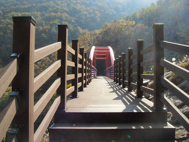 SDC12021.jpg