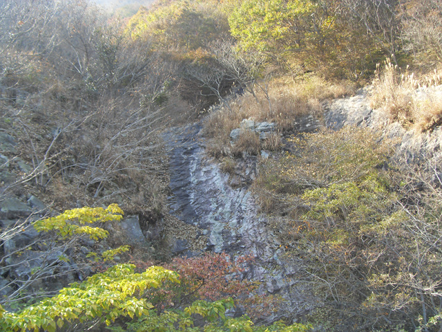 SDC12022.jpg