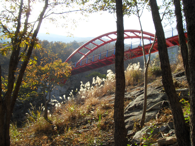 SDC12025.jpg