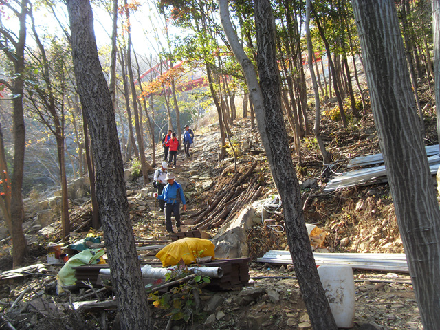 SDC12026.jpg