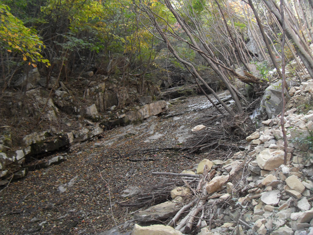 SDC12027.jpg