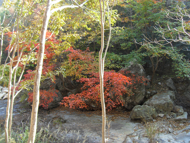 SDC12028.jpg