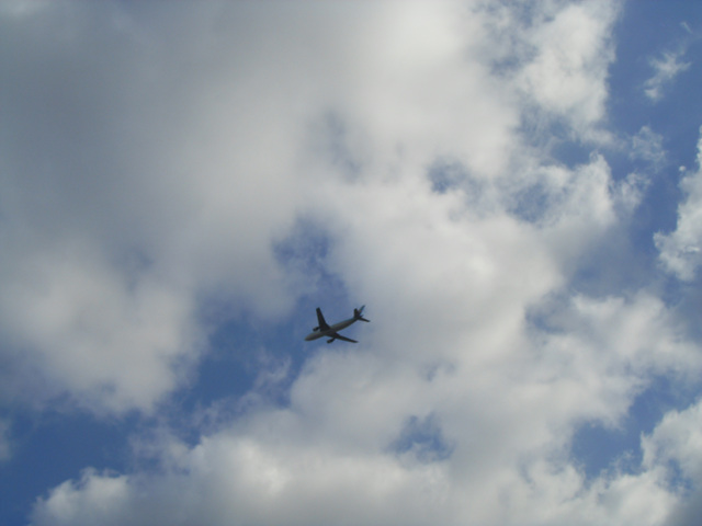 SDC12186.jpg