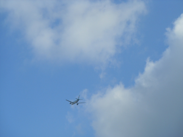 SDC12187.jpg
