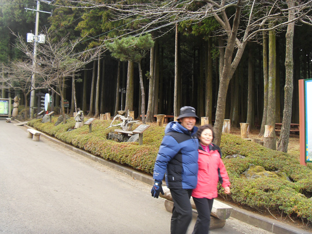 SDC12193.jpg