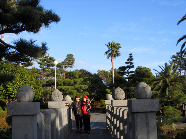 SDC12196.jpg