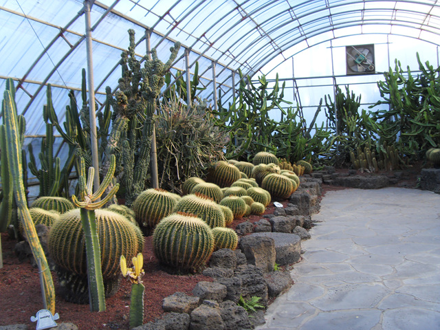 SDC12212.jpg