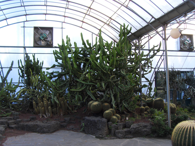 SDC12215.jpg