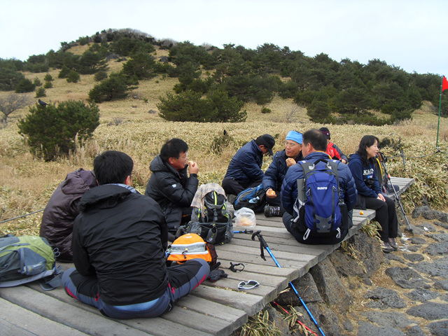 SDC12223.jpg