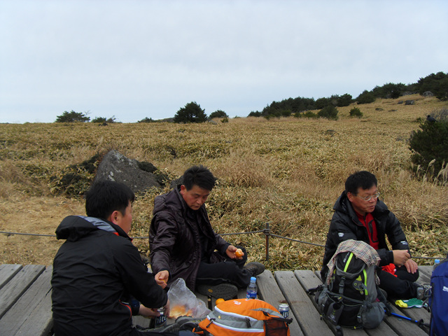 SDC12224.jpg