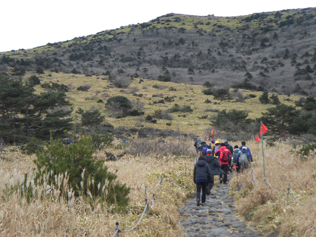 SDC12227.jpg