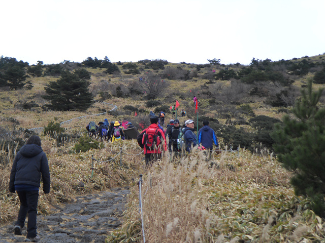 SDC12228.jpg