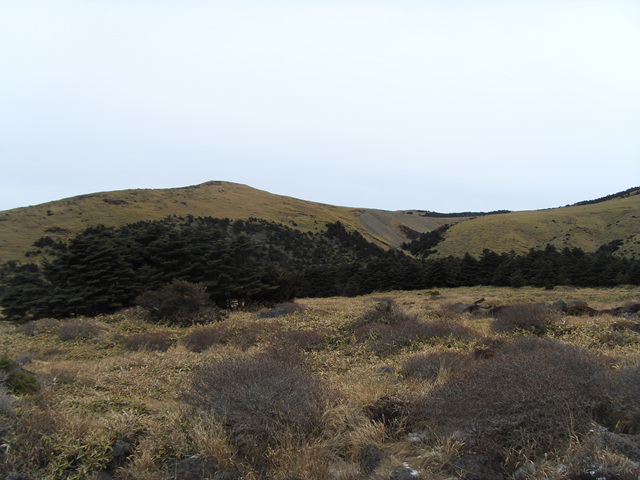 SDC12232.jpg