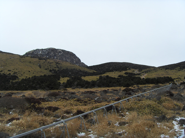 SDC12233.jpg