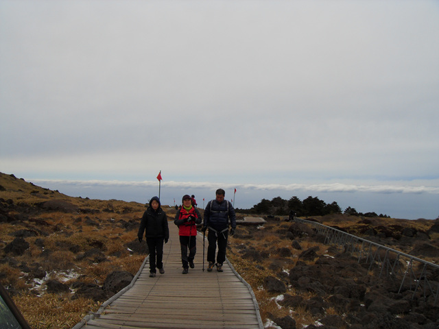 SDC12235.jpg