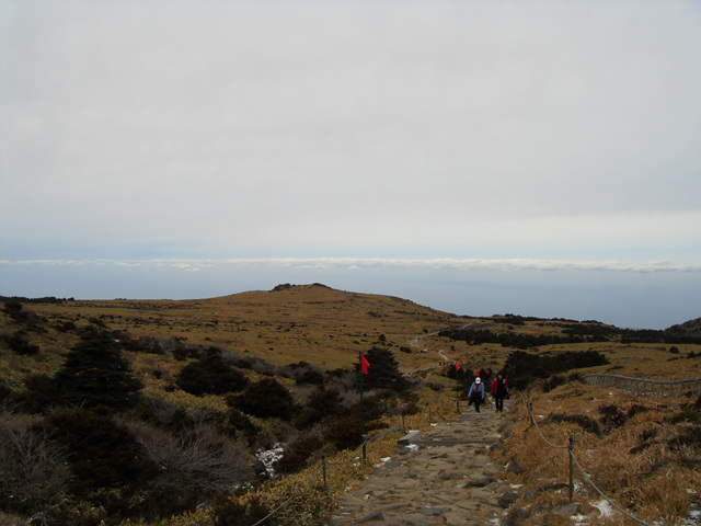 SDC12237.jpg