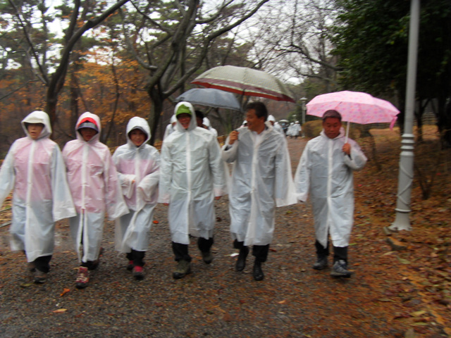 SDC11223.jpg