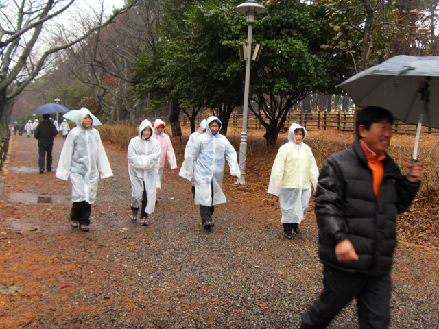 SDC11224.jpg