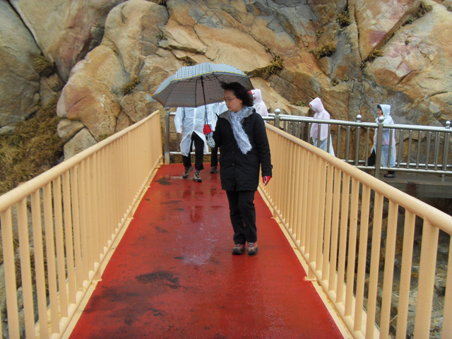 SDC11229.jpg