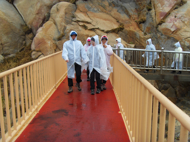 SDC11230.jpg