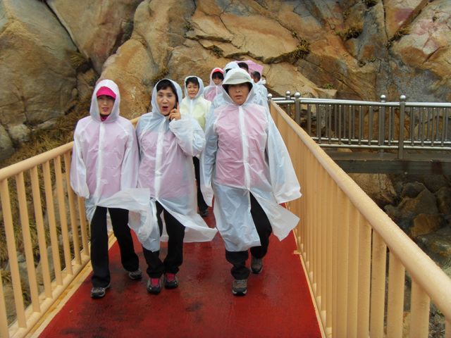 SDC11231.jpg