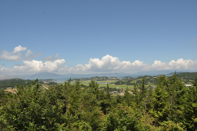DSC_0239.jpg