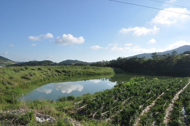 DSC_0207.jpg