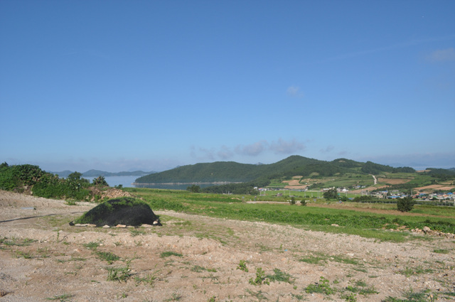 DSC_0194.jpg
