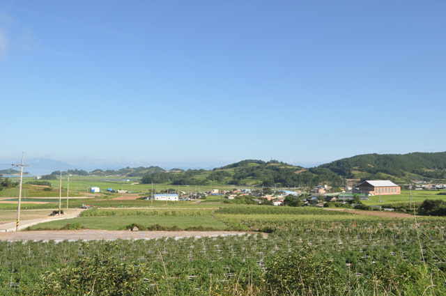 DSC_0211.jpg