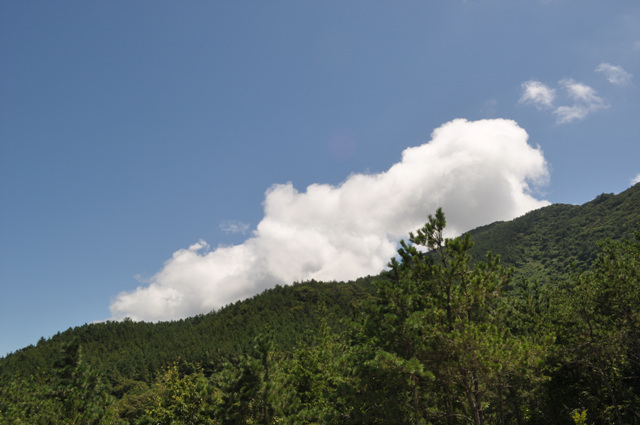 DSC_0237.jpg