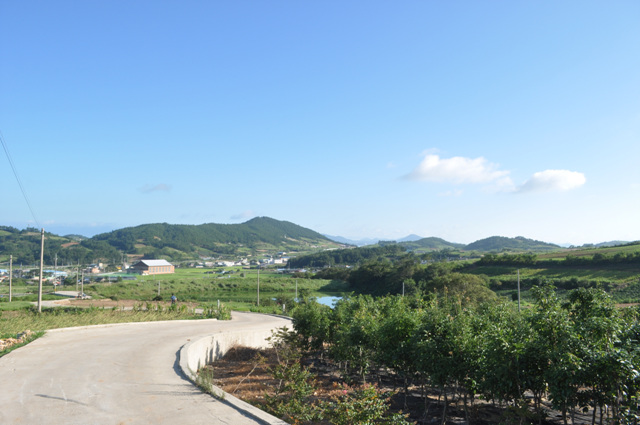 DSC_0196.jpg