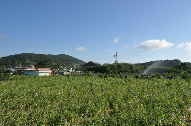 DSC_0225.jpg