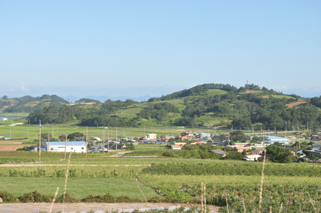 DSC_0216.jpg