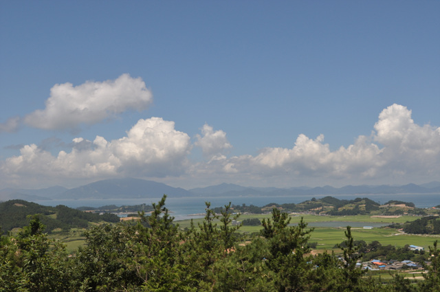DSC_0275.jpg