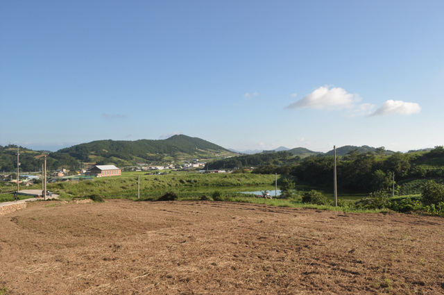 DSC_0197.jpg
