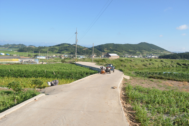 DSC_0200.jpg