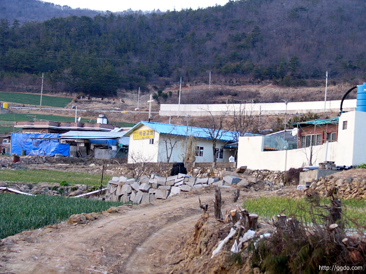 20031231_ikgeum006.jpg