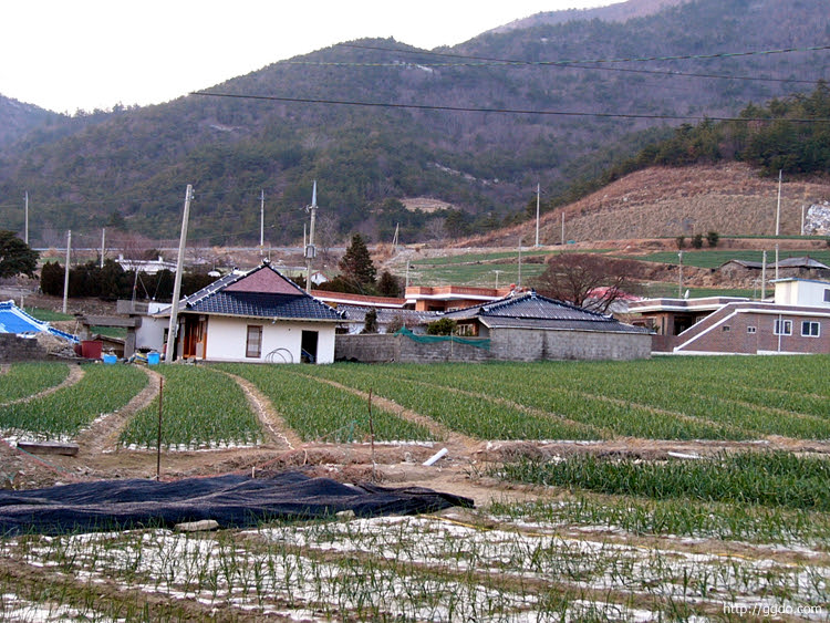 20031231_ikgeum009.jpg