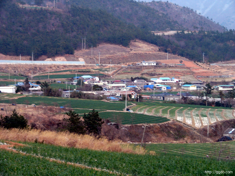 20031231_ikgeum031.jpg