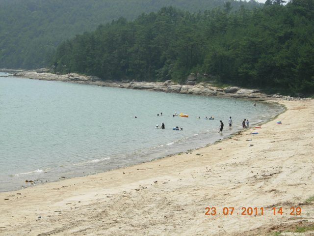 DSCN5687.jpg