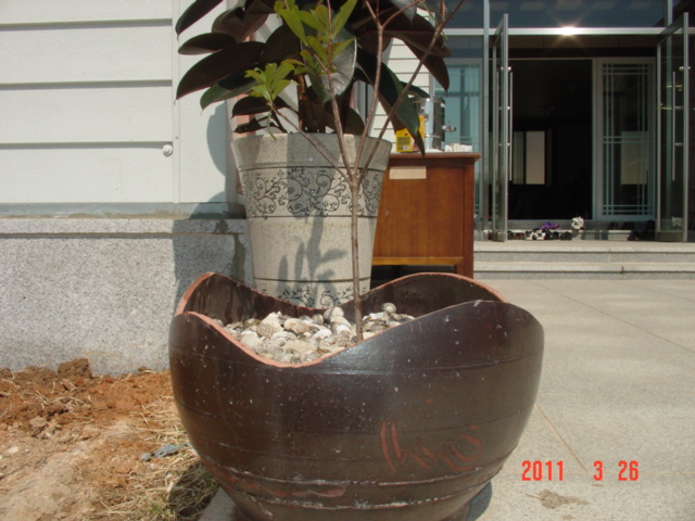 DSC09749.JPG