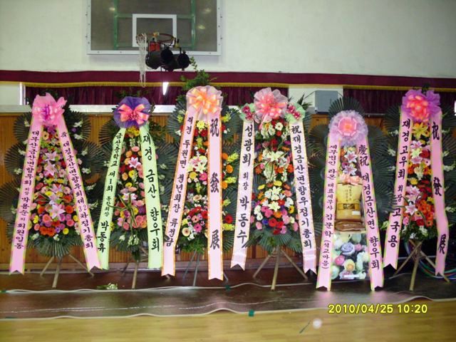 SDC14529.JPG