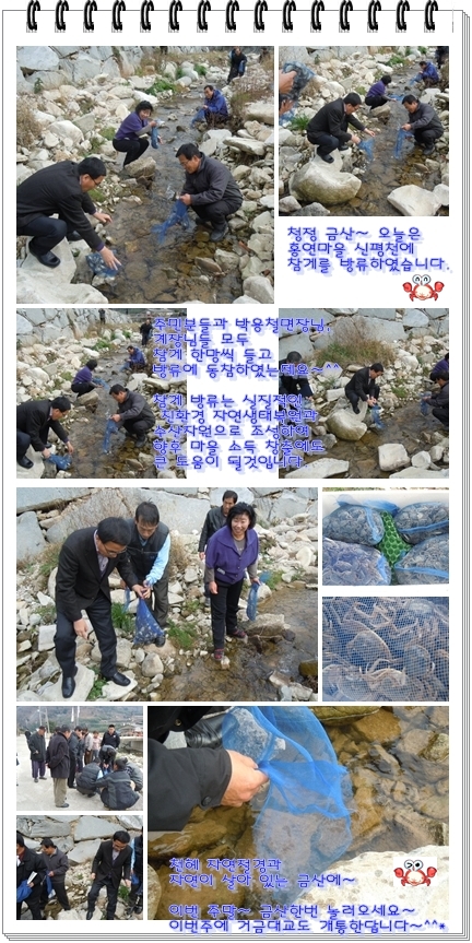 20111212홍연참게방류 사진합본.jpg