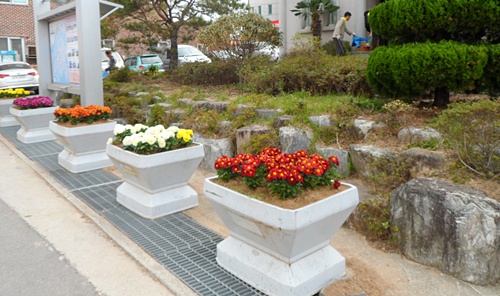 121017참고흥(면소재지2).JPG