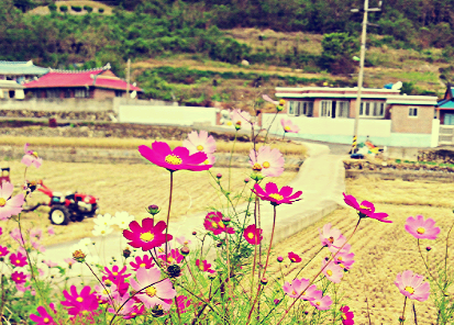 IMG_20121013_2.png