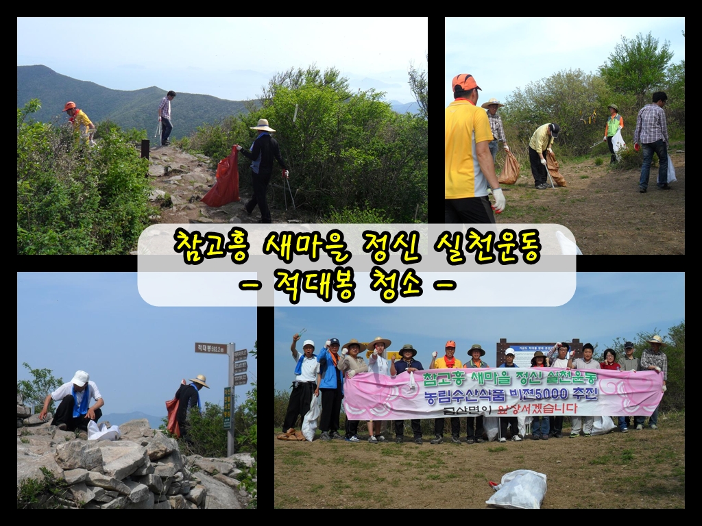 적대봉청소.jpg
